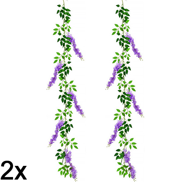 2x Plezalka s cvetovi glicinije | WISBLOOM