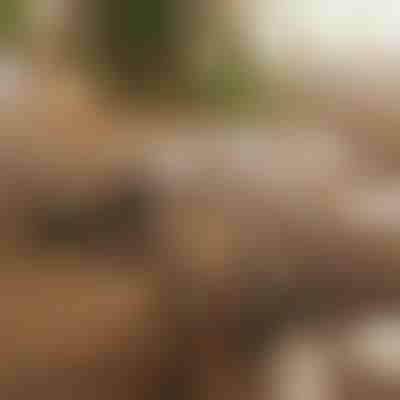 Magnetni lepilni organizator kablov | CABLIP