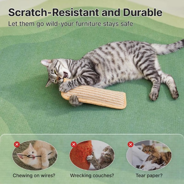 CATCHEW-3831127629256-EN-1__221225