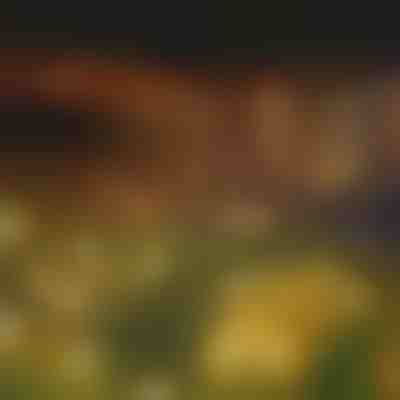 Solarna svetlobna veriga s 6 LED žarnicami | SOMPEX