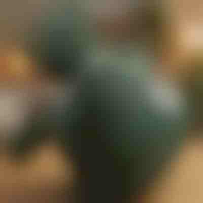 Ogrevana masažna blazina za shiatsu | MASSORA